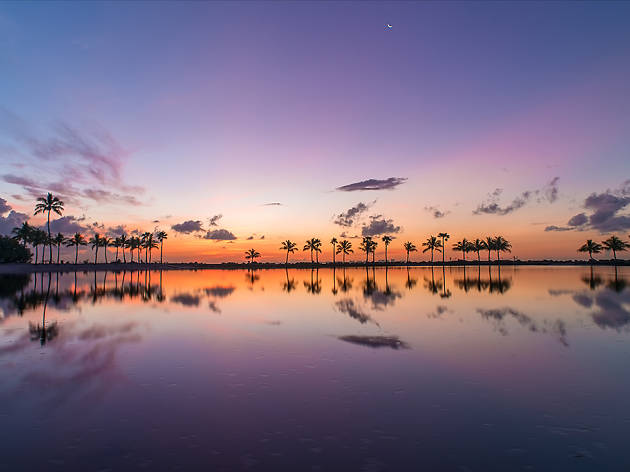 Matheson Hammock Park Beach Matheson Hammock Park Beach