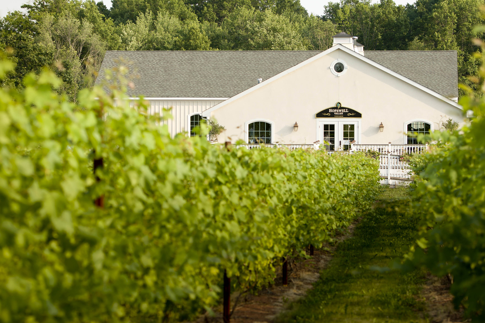 wine tasting tours in nj