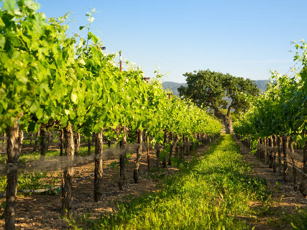 wine tasting nj