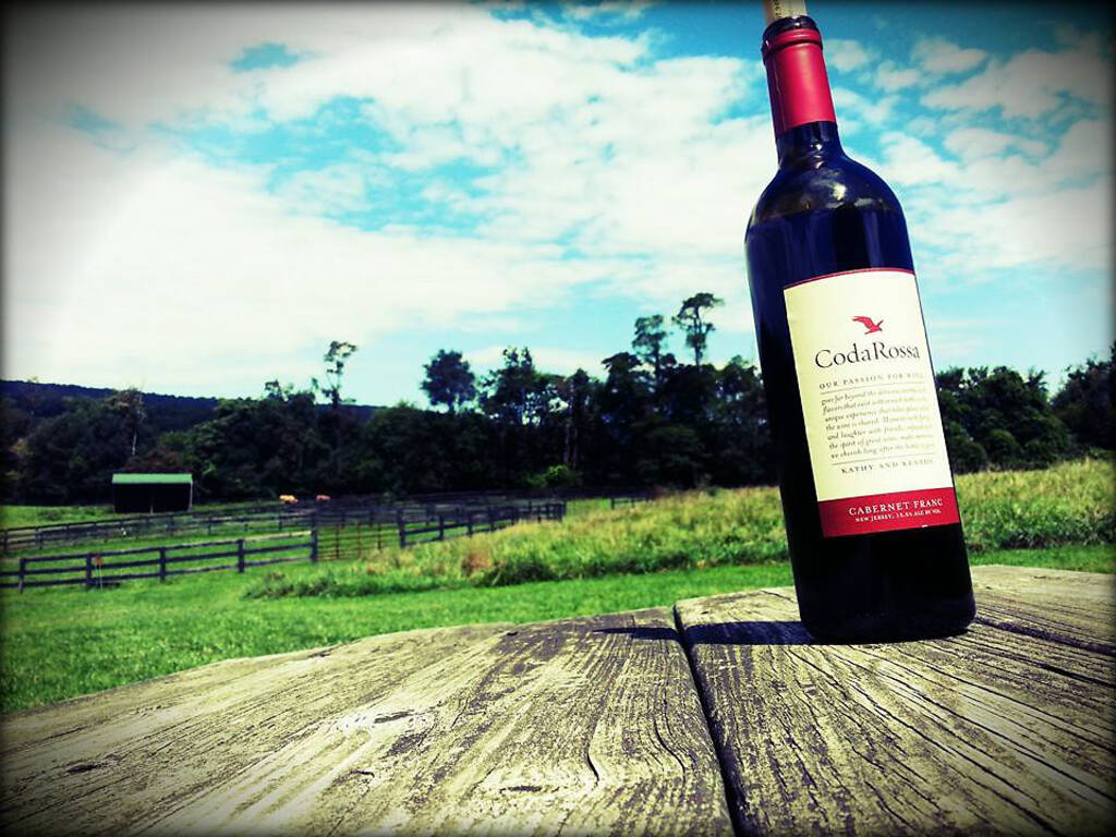 Go wine tasting in NJ at the best Garden State wineries and bars