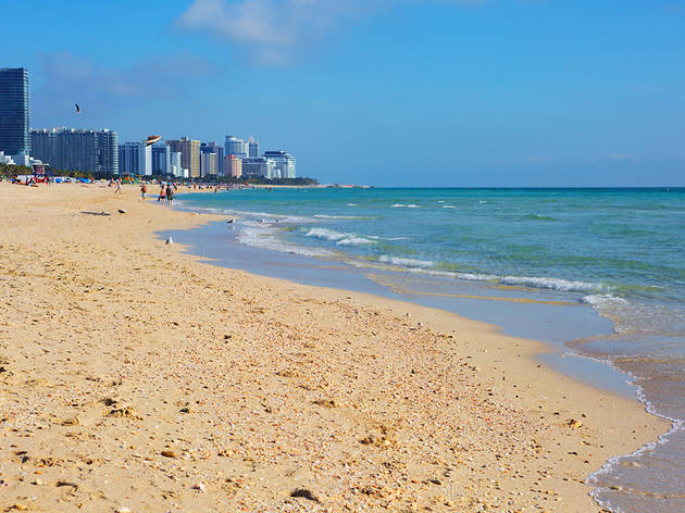 The best beaches in Miami The best beaches in Miami