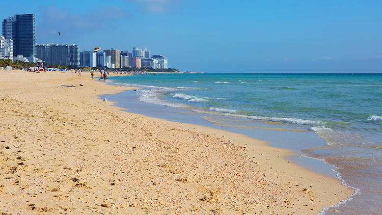 World Ocean Day South Beach | to do Miami