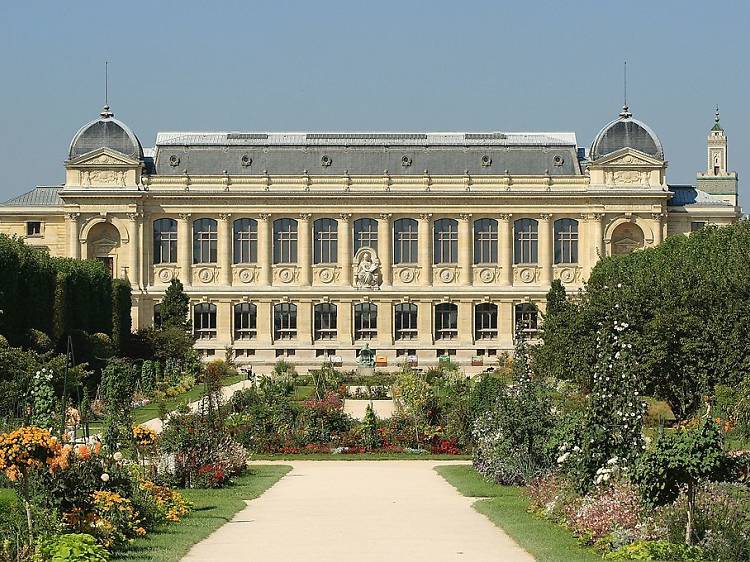 Jardin des Plantes Royal Botanic Gardens Paris