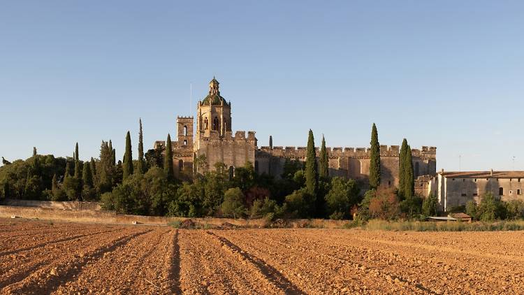 Cistercian monasteries: History and wine