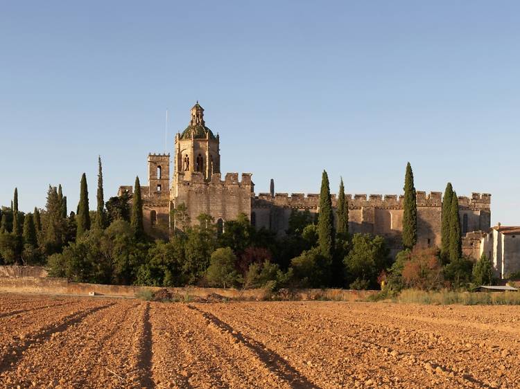 Cistercian monasteries: History and wine