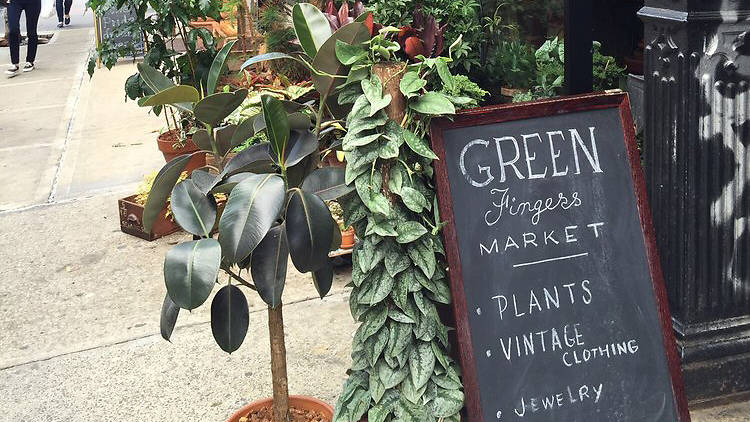 Green Fingers Market