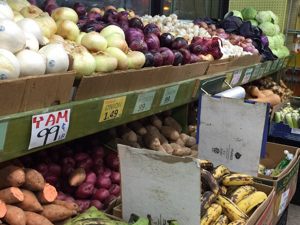 Best organic grocery stores in NYC for healthy and fresh food