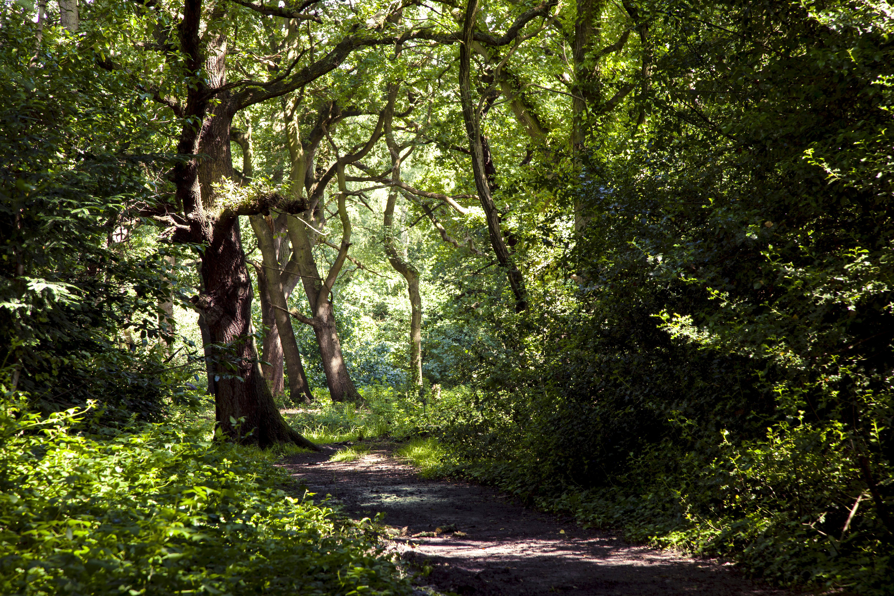 Wild thing: 14 lovely green spaces in London - Time Out London (blog)