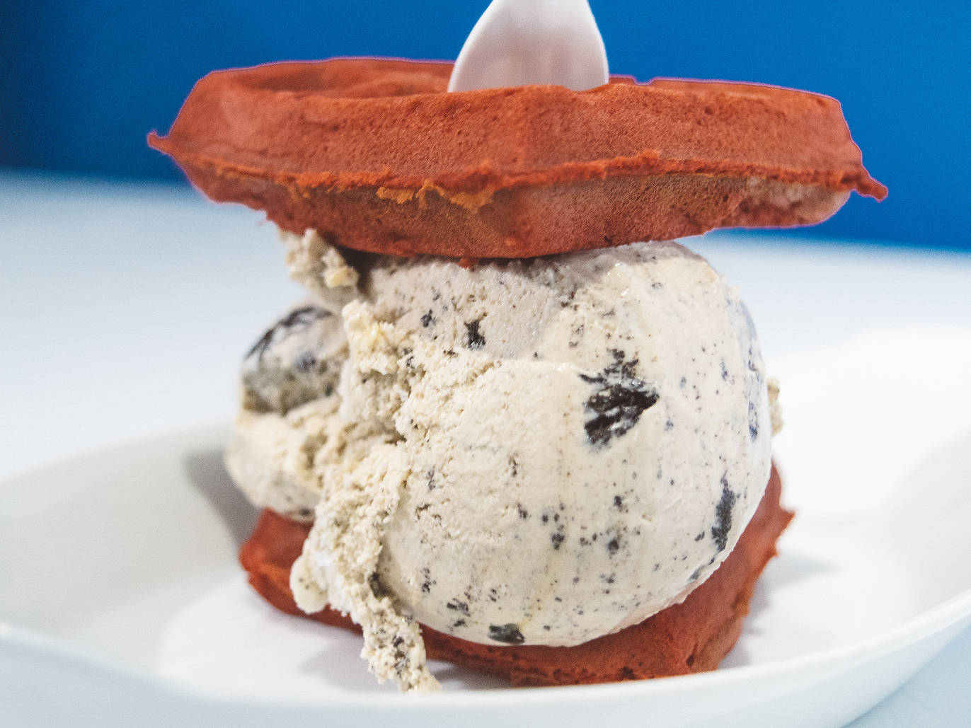 best-ice-cream-sandwich-spots-in-nyc-from-parlors-to-restaurants