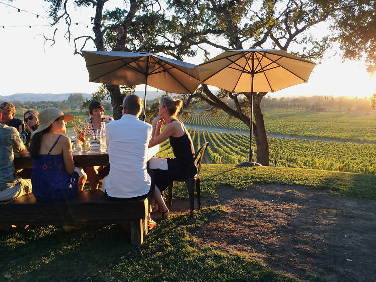 The 10 best Sonoma wineries