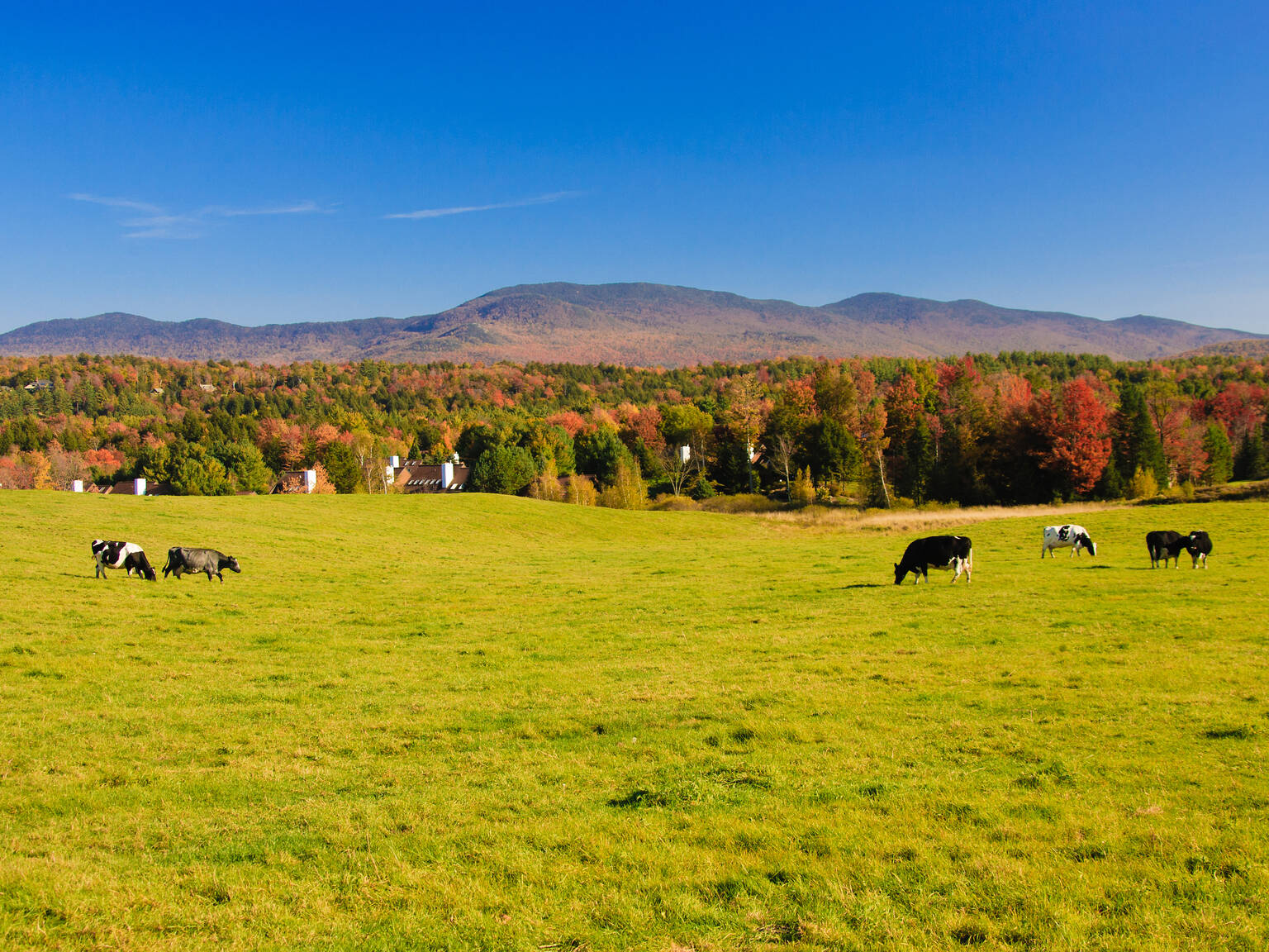 13 Best Road Trips From NYC for a Quick Getaway