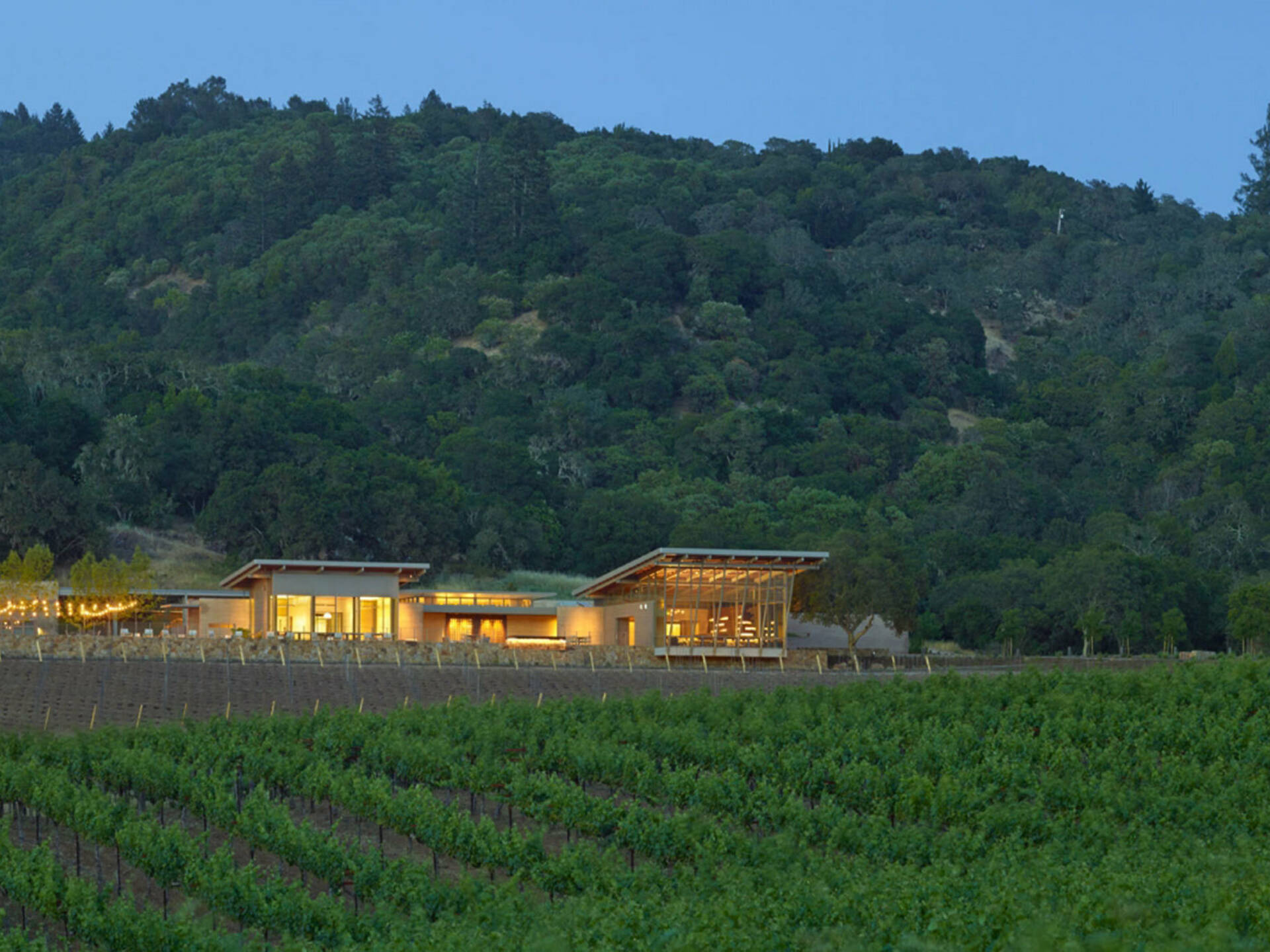 Best Sonoma Wineries for Tasting Delicious Wines