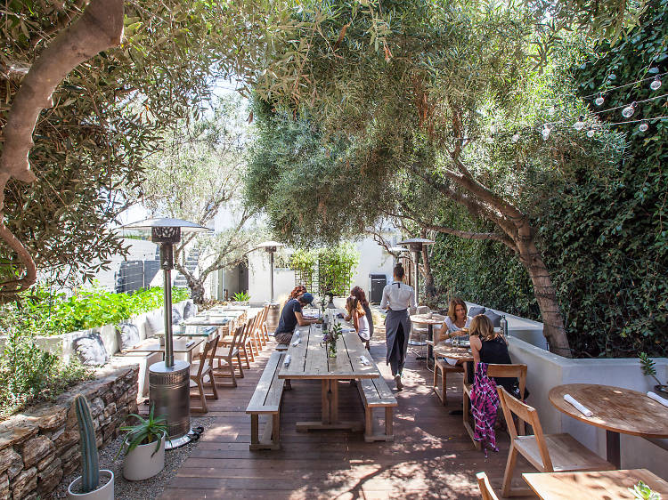 Dine and shop along posh Abbot Kinney