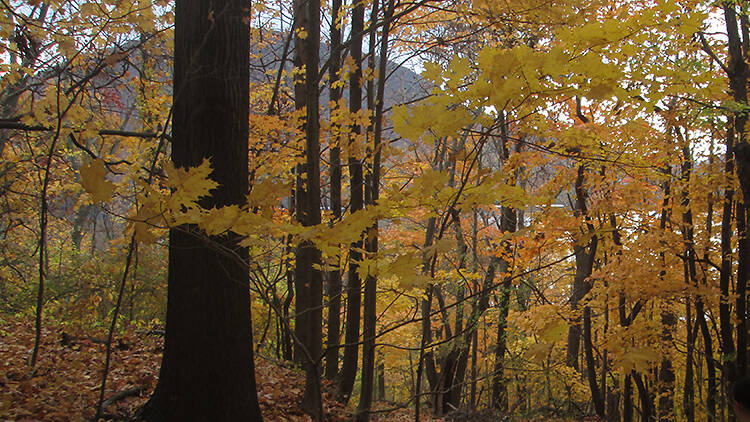 For the family guy or girl who tells it straight from the heart 