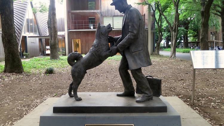 Another Hachiko | Time Out Tokyo