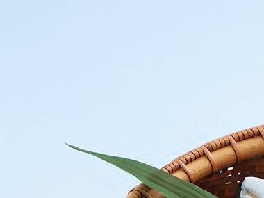 Sweet Dreams Sweet Dreams