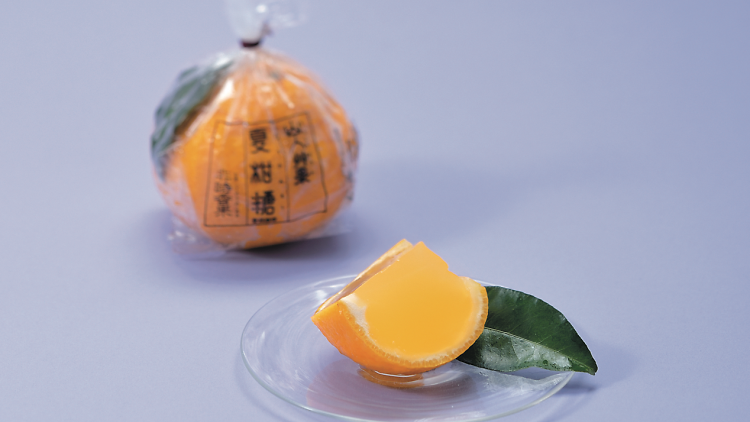 Natsukanto Citrus Desserts