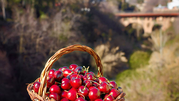 Caldes de Montbui: de las antigüedades a la gastronomía