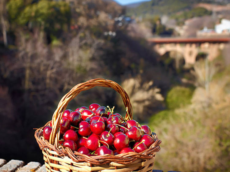 Caldes de Montbui: de las antigüedades a la gastronomía