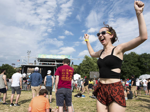 Pitchfork Music Festival 2016, Sunday