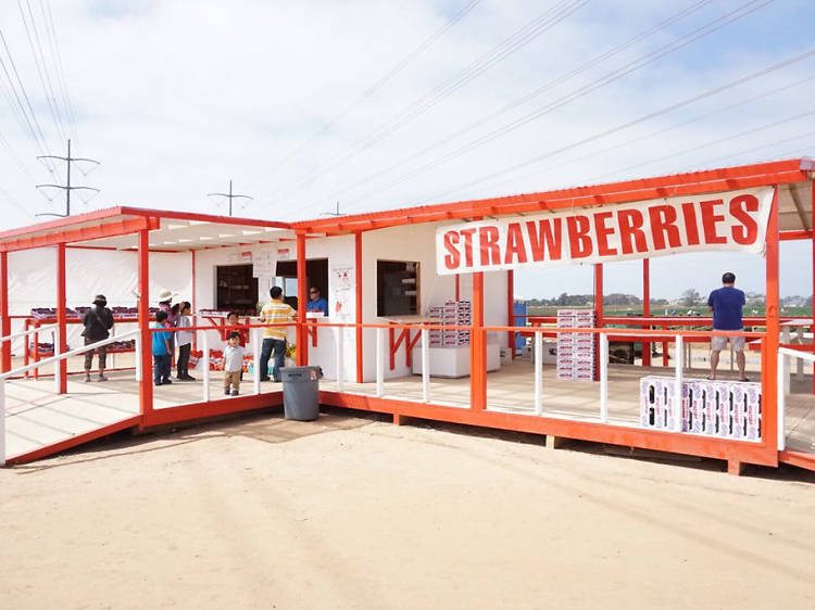 Carlsbad Strawberry Company