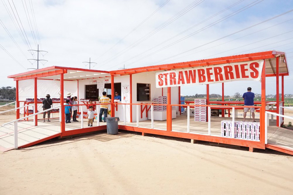 carlsbad strawberry company