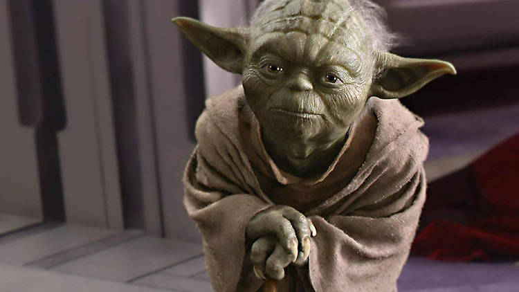 Yoda