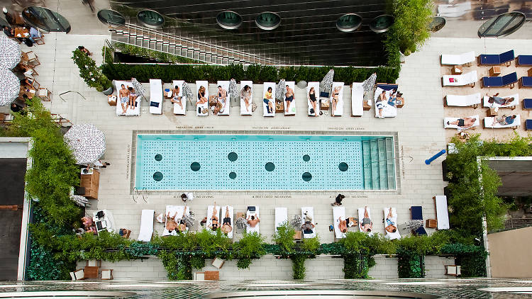 10 Best Hotels With Pools In Nyc For 2023 Places To Stay In New York City 2427