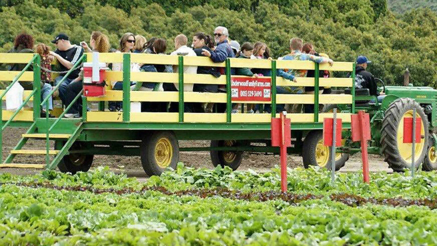 Underwood Family Farms Things to do in Ventura County, Los Angeles