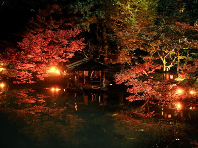 Happo-en Autumn Lightup Happo-en Autumn Lightup | Time Out Tokyo