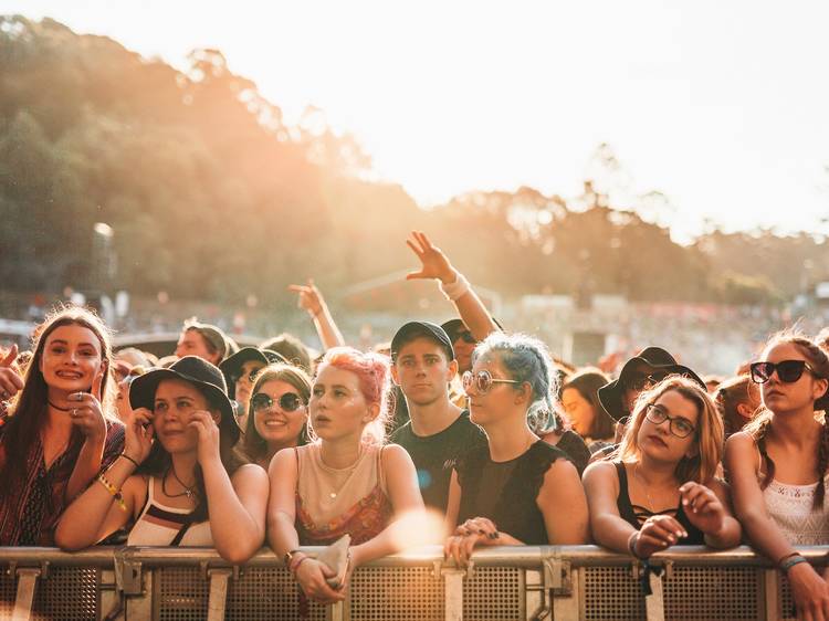 Crowd at Splendour in the Grass 2016