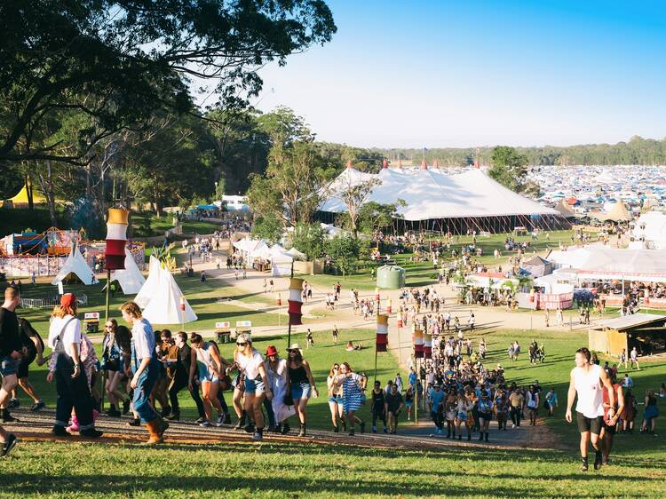 JUST IN: Splendour in the Grass 2024 has been cancelled