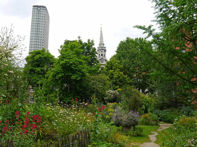 Phoenix Garden | Attractions in St Giles, London