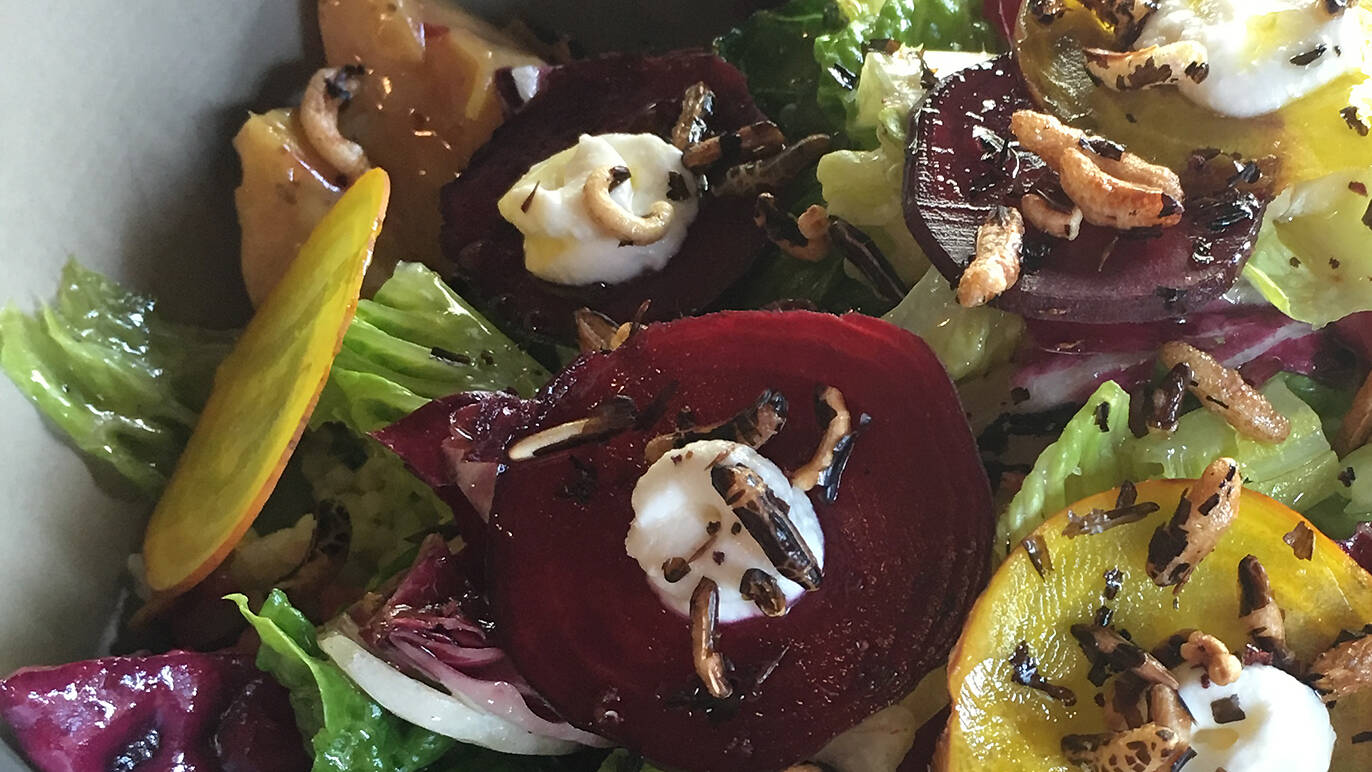 Best salads in New York City, from cafes, bistros and restaurants