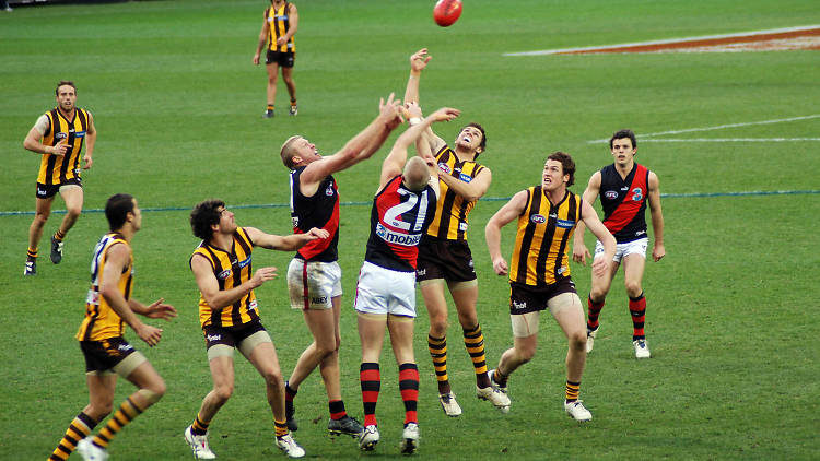 See an AFL game at the MCG