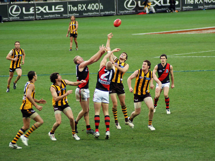 See an AFL game at the MCG