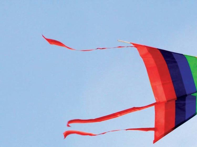 Kite Flying at Galle Face Green