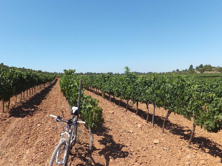 Wine tourism on two wheels in Bages