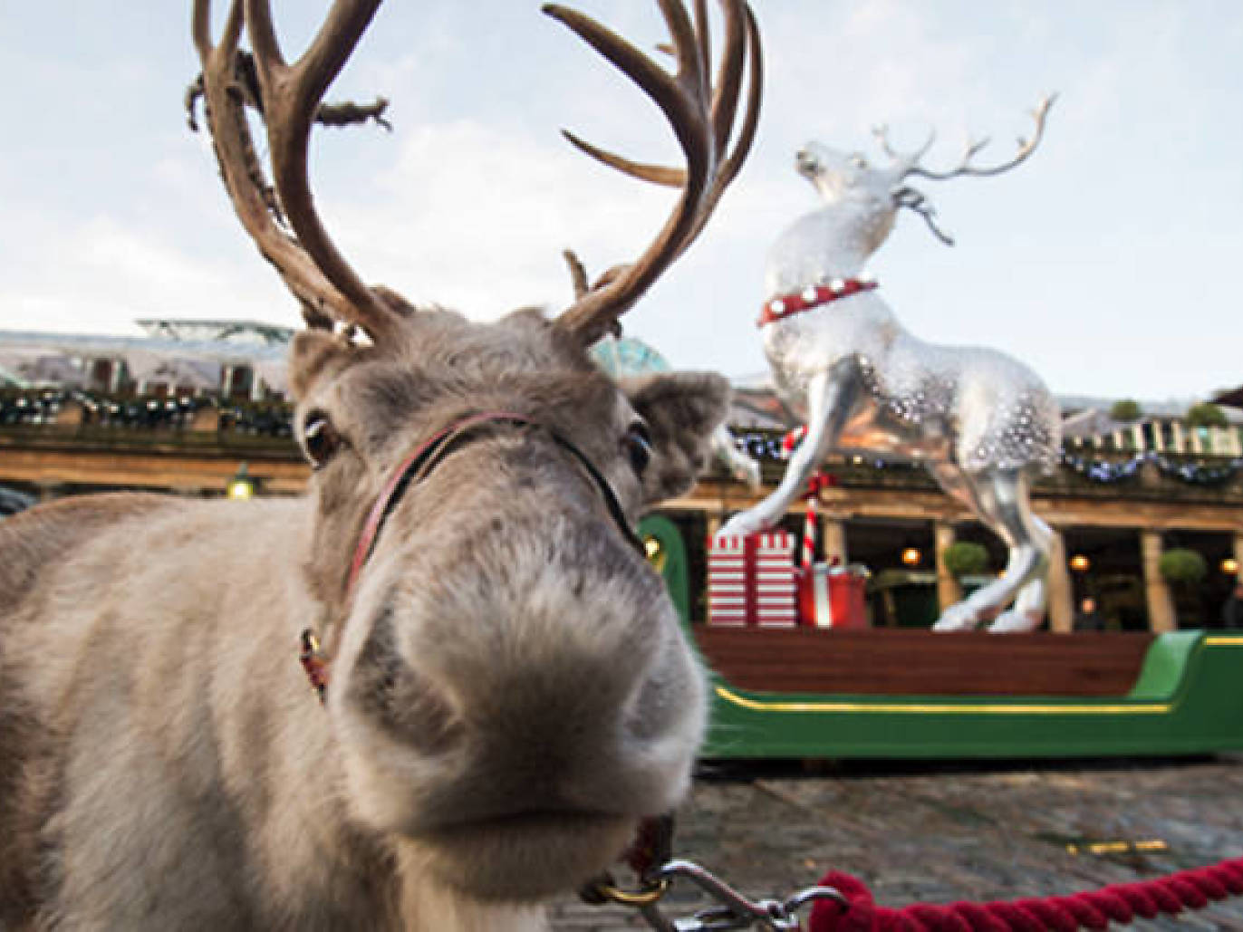 9 Best Santa’s Grottos in London and where to meet Father Christmas in 2023