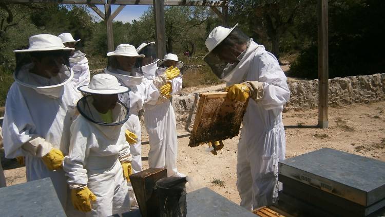 Un centro de interpretación del mundo de las abejas