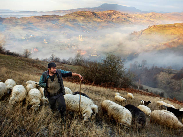 (Mitchell Kanashkevich: Shepherd, Maramures, Romania. Winner, Faces, People & Encounters 2015)