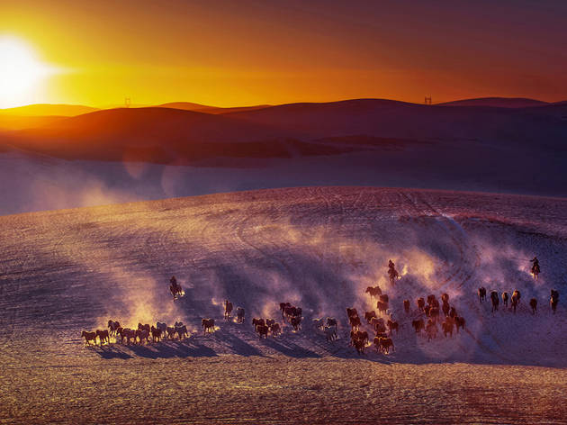 (Cai Zhiping: Horses on plain, Inner Mongolia, China. Highly Commended, Moment in Light 2015)