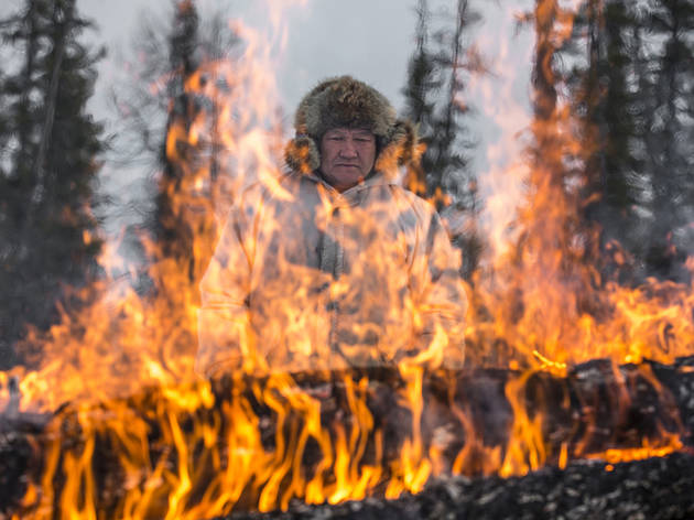 (James Morgan: Yakutia, Russia, burning the latest wolf corpse. Winner, Nature & Environment 2015)