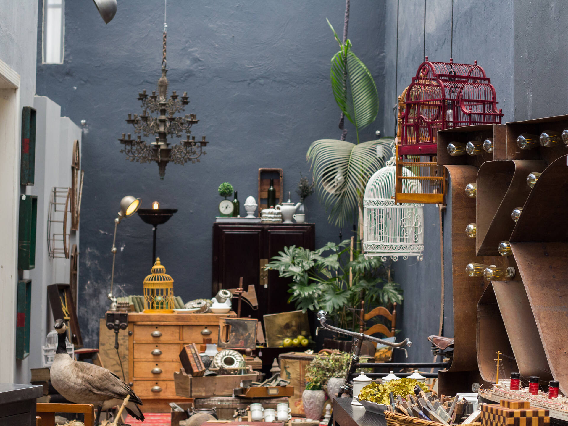 Las 17 mejores tiendas vintage y de segunda mano en la CDMX Las 17 mejores tiendas vintage y de segunda mano en la CDMX