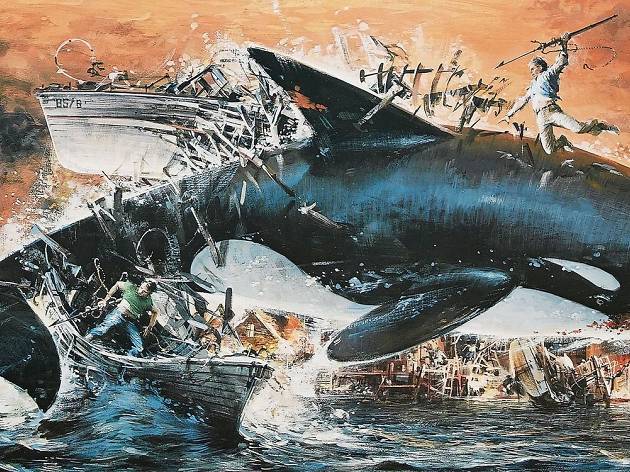 Orca, la ballena asesina Orca, la ballena asesina