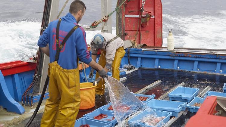 La Lola, la esencia de la pesca