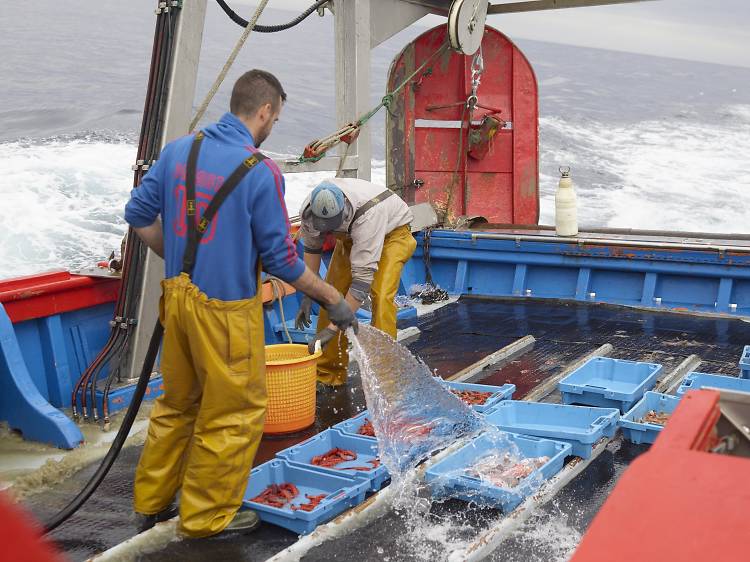 La Lola, la esencia de la pesca