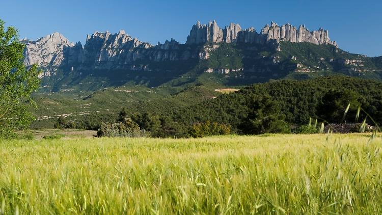 El Camino de Santiago sobre dos ruedas