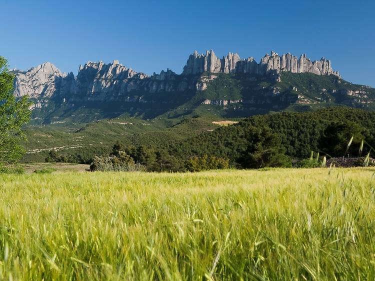 El Camino de Santiago sobre dos ruedas