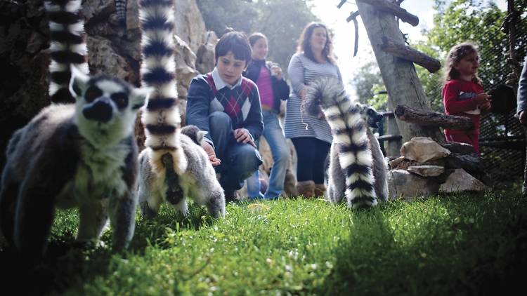 Jardim Zoológico de Lisboa